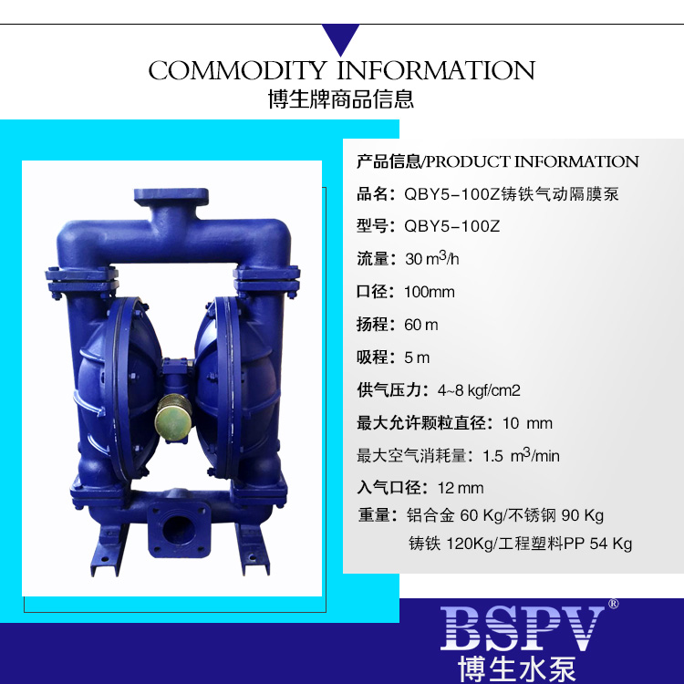 100不銹鋼隔膜泵參數(shù)-001.jpg